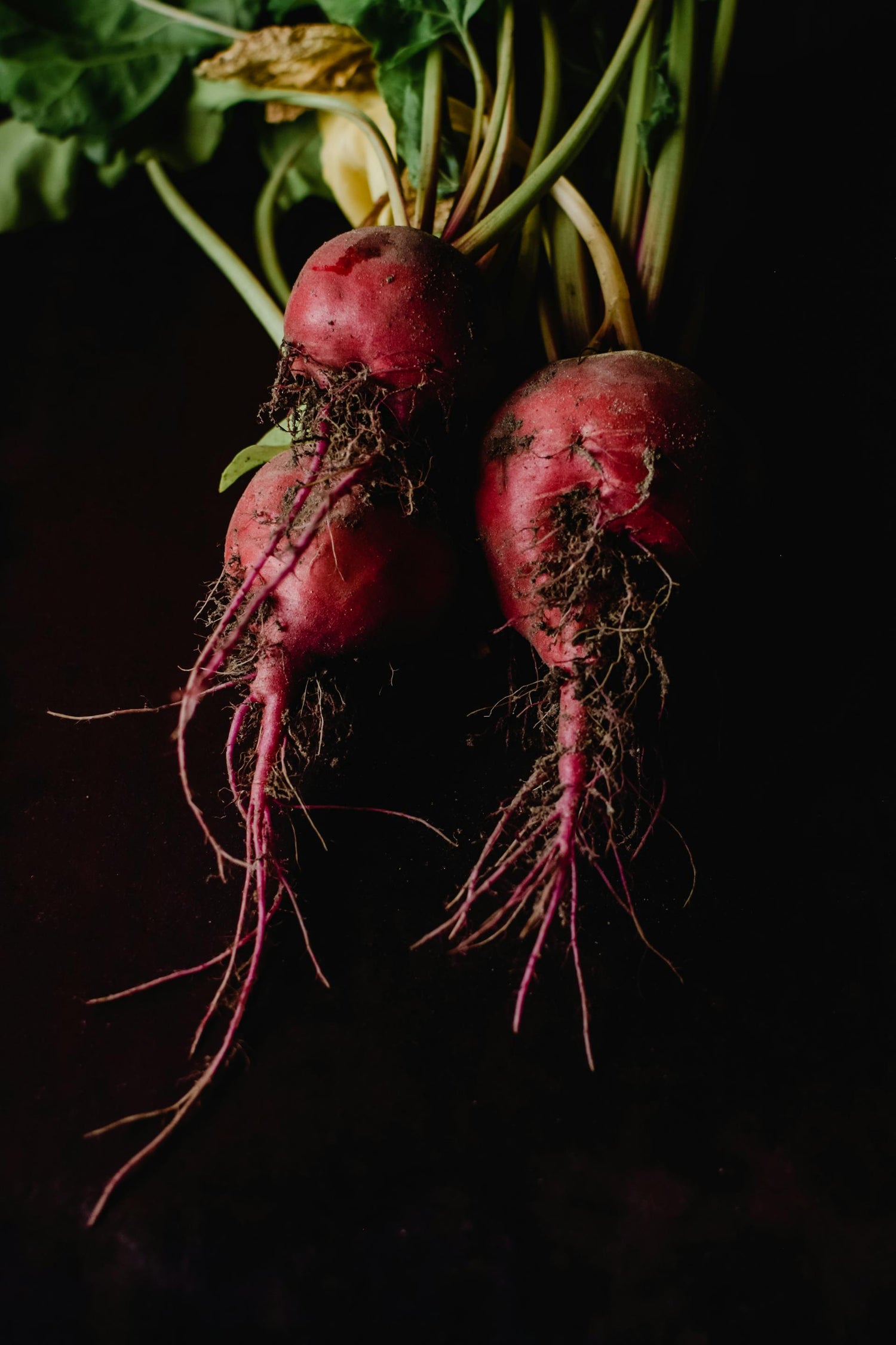 Beets